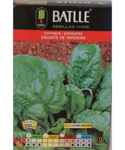 Espinaca Gigante de Invierno 250g-93