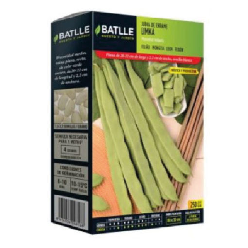 Semillas Judía Purple Podded Climbing 65g | Enrame, Vainas Moradas Sin Hilos, Sabor Agradable