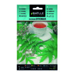 Valeriana Officinalis