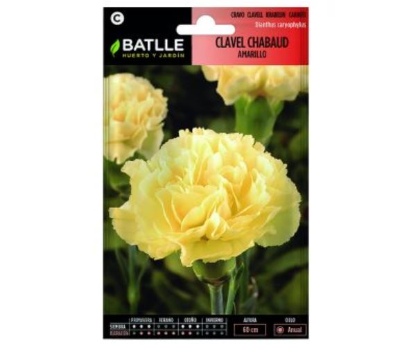 Clavel Chabaud Amarillo Jardinedia