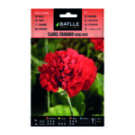 Clavel Chabaud Doble Rojo