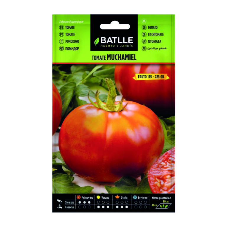Tomate Muchamiel - La Huertica Oeste