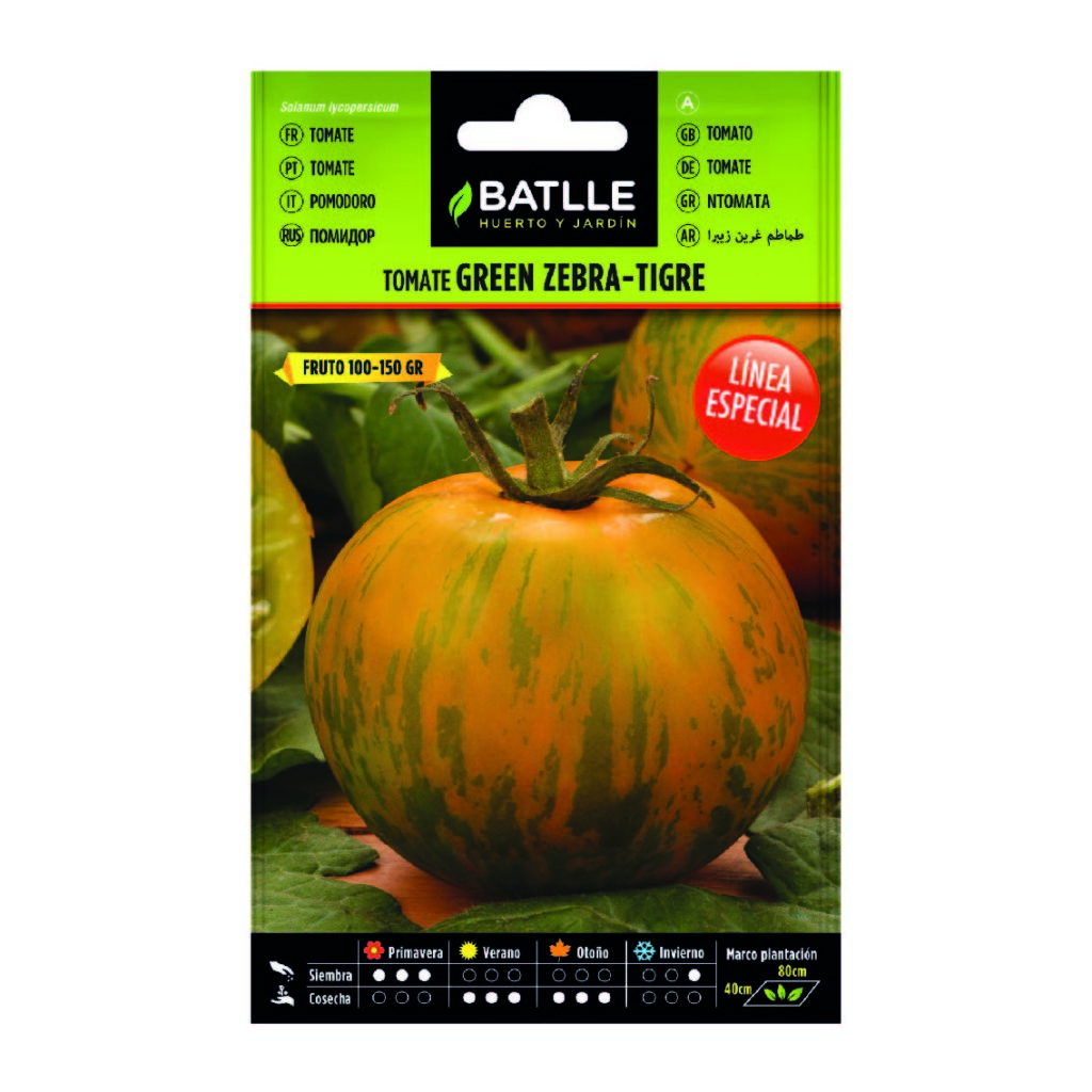 100 Semi Di Pomodoro Zebra Verde – Varietà Antica Da Orto, Semi Per Giardino E Huerto
