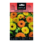 Calendula Enana Fiesta Gitana