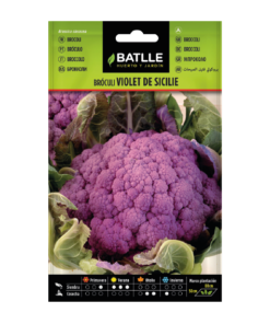 Bróculi Violet de Sicilie