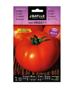 Tomate Virgilio F-1